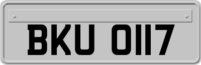 BKU0117