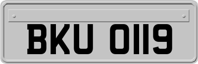 BKU0119