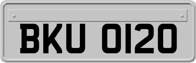 BKU0120