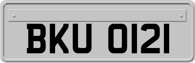 BKU0121