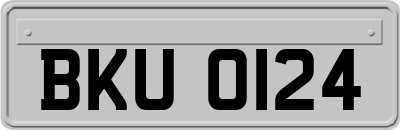 BKU0124