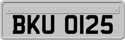 BKU0125