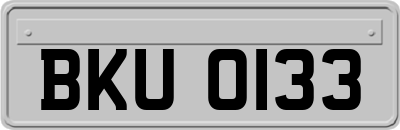 BKU0133