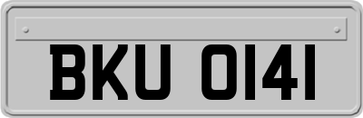BKU0141