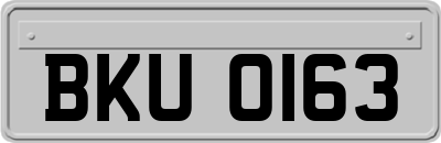 BKU0163