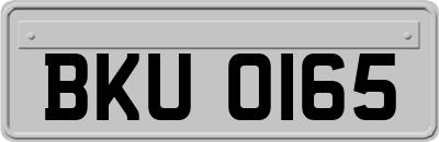 BKU0165
