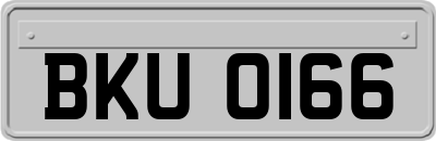 BKU0166
