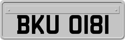 BKU0181