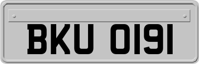 BKU0191