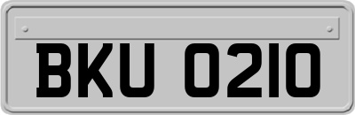 BKU0210