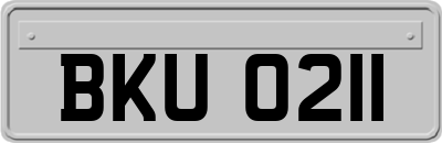 BKU0211
