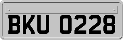 BKU0228