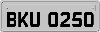 BKU0250