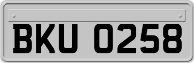 BKU0258