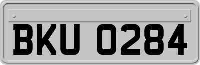 BKU0284