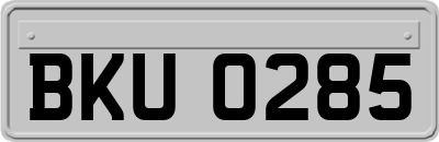 BKU0285