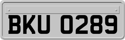 BKU0289