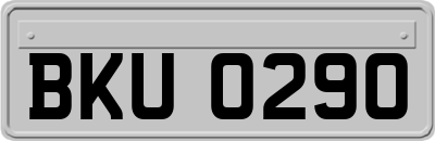 BKU0290