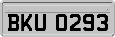 BKU0293