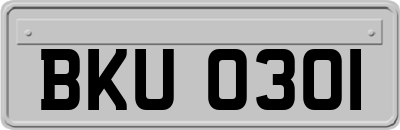 BKU0301