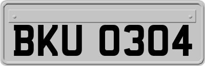 BKU0304