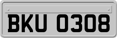 BKU0308
