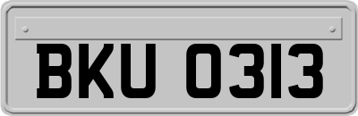 BKU0313