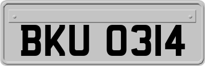BKU0314