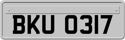 BKU0317