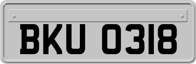 BKU0318