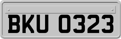 BKU0323