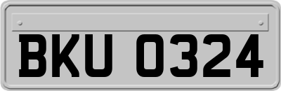 BKU0324