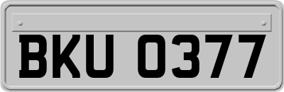BKU0377