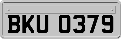 BKU0379
