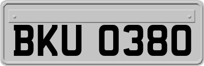 BKU0380