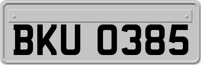 BKU0385
