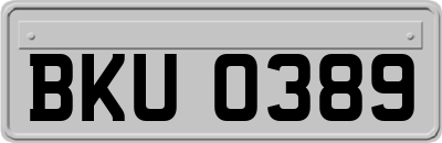BKU0389