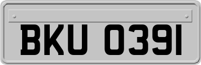 BKU0391