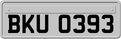 BKU0393
