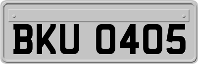BKU0405