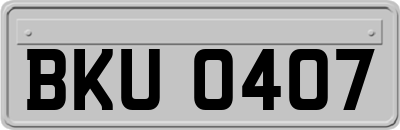 BKU0407