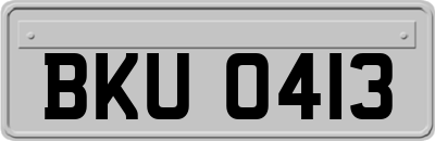 BKU0413