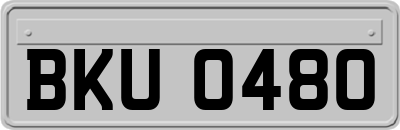 BKU0480