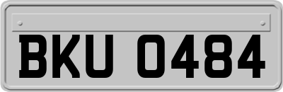 BKU0484
