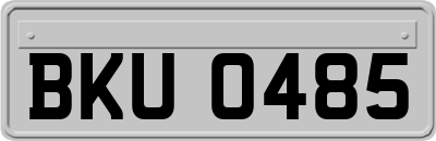 BKU0485