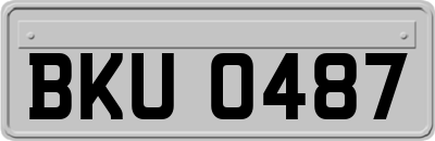 BKU0487