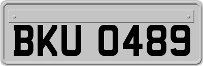 BKU0489
