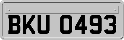 BKU0493