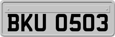 BKU0503