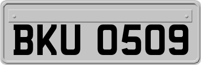 BKU0509